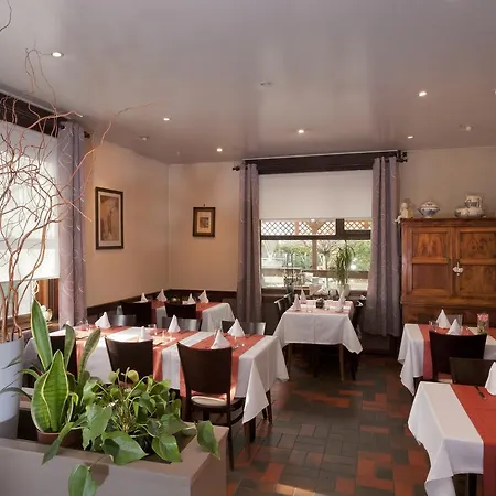 La Boite A Sel Hotel Volgelsheim